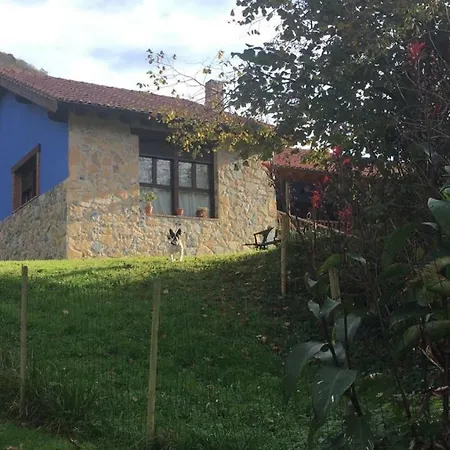 Casa Trasgu De Tornín - Enjoy Life In Asturias * Tornin